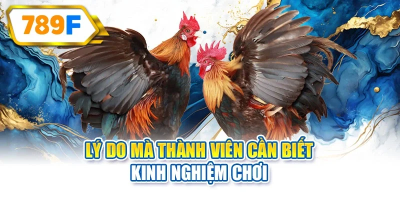 Lý do mà thành viên cần biết kinh nghiệm chơi