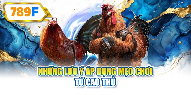 Những lưu ý áp dụng mẹo chơi từ cao thủ