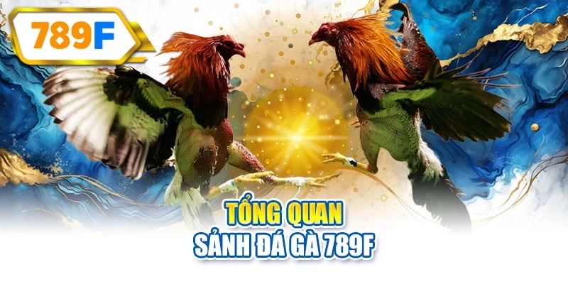 Tổng quan sảnh đá gà 789F